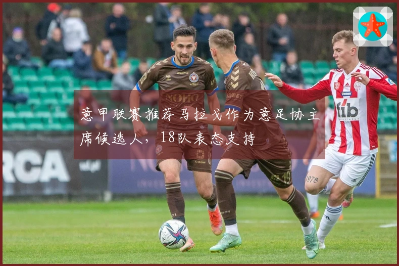 意甲联赛推荐马拉戈作为意足协主席候选人，18队表态支持