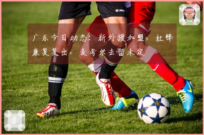 广东今日动态：新外援加盟，杜锋康复复出，麦考尔去留未定