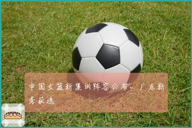 中国女篮新集训阵容公布，广东新秀获选